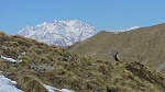 Zoom , le cime del Monte Rosa oggi sono perfettamente spoglie di nuvole.....Spettacolo!!